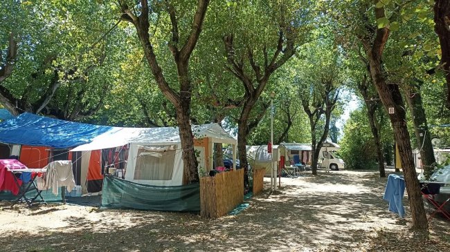 Tende e roulotte in campeggio ombreggiato.