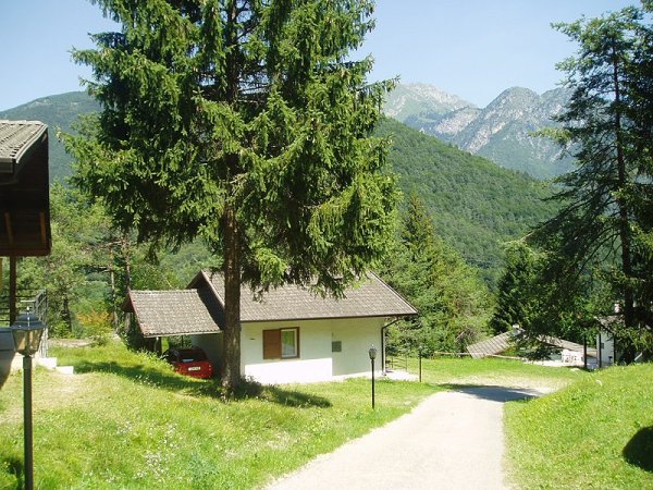 Casa tra alberi e montagna.
