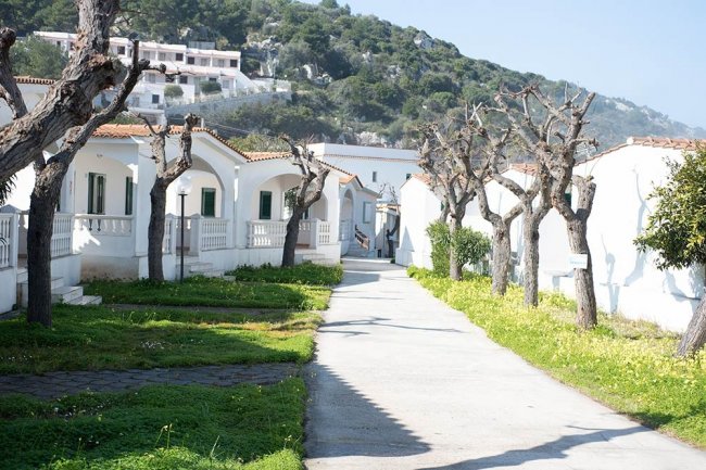 Vialetto tra casette bianche e alberi spogli.