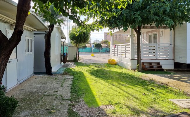 Area esterna con percorsi e piante.