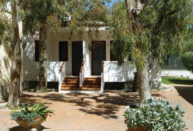 Ingresso di una casa con piante eucalipto.