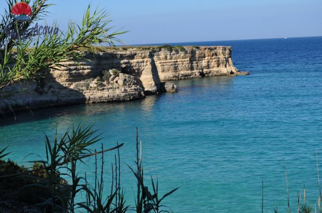 Una scogliera rocciosa accanto a un mare blu cristallino, vista tra la vegetazione.