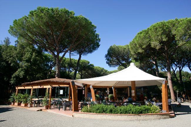Ristorante all'aperto sotto pini.