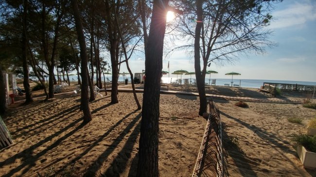 Spiaggia con alberi, ombrelloni e sole basso.