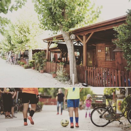 Una via alberata con bungalow di legno e bambini che giocano a calcio.