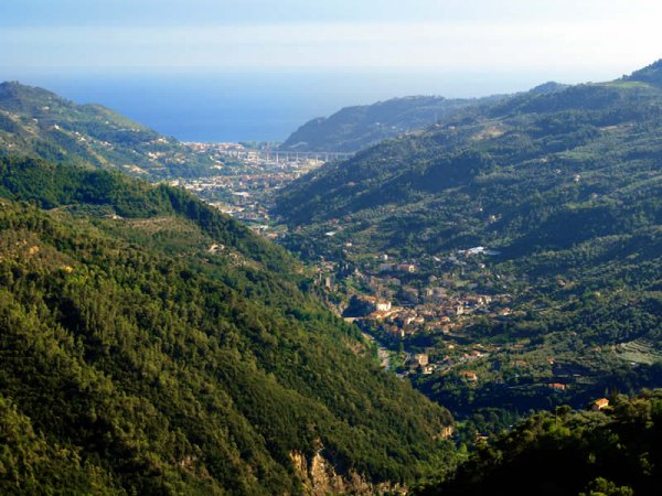 Vista panoramica su colline verdi e il mare.