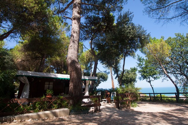 Un piccolo edificio in legno tra gli alberi, vicino al mare.
