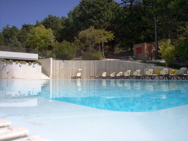 Piscina all'aperto con sedie a sdraio e vegetazione.