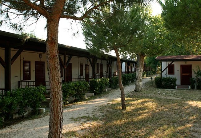 Casette tra alberi con sentiero sterrato.