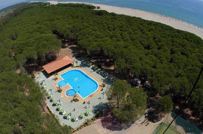 Piscina circondata da alberi vicino alla spiaggia.