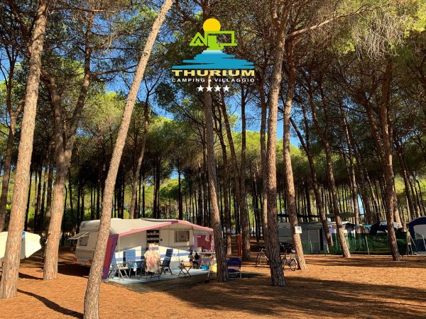 Campeggio tra alberi con roulotte e tenda.