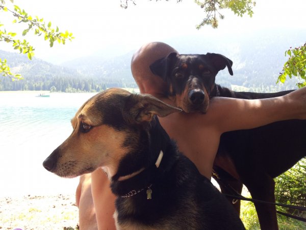 Due cani con un uomo al lago.