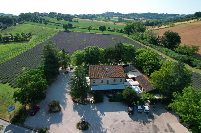 Vista aerea di un casale circondato da campi.