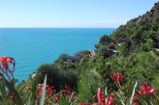 Vista mare con case e fiori rossi.