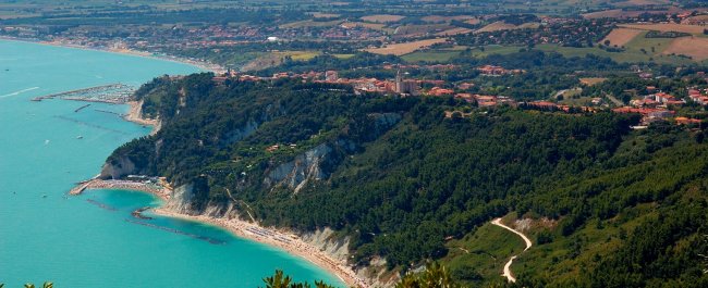 Scogliera con vegetazione e mare turchese.