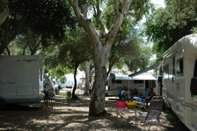 Camper parcheggiati in area ombreggiata.