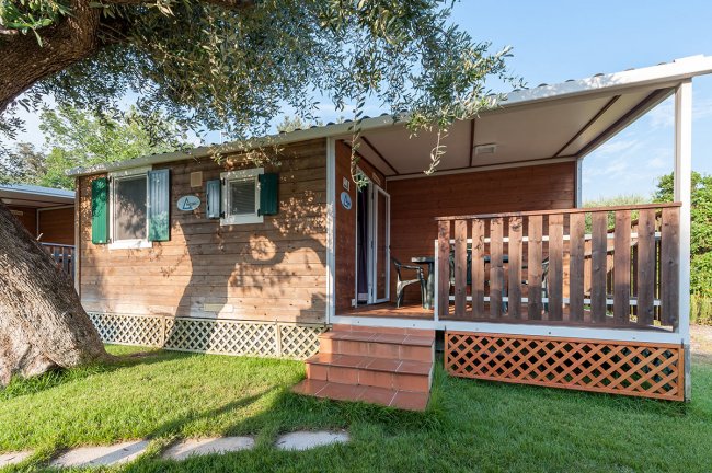Una casa mobile in legno con veranda e gradini in un giardino verde.