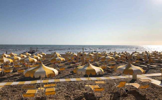 Spiaggia con ombrelloni gialli e lettini.