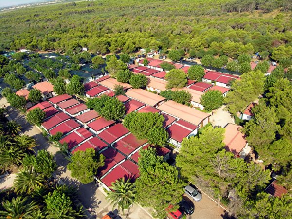 Vista aerea di bungalow tra gli alberi.