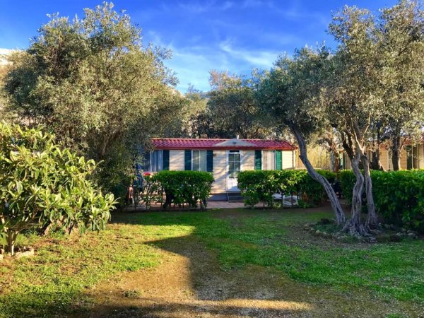 Casa mobile tra ulivi e arbusti verdi.