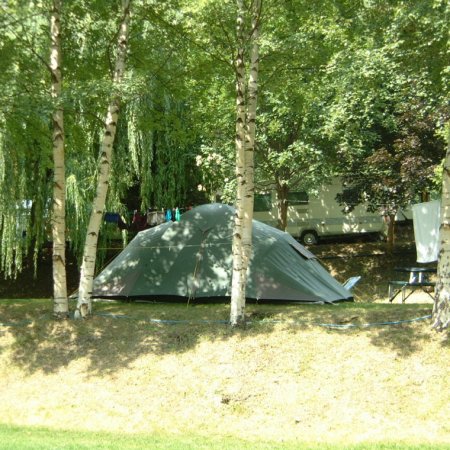 Una tenda verde tra alberi in un campeggio.