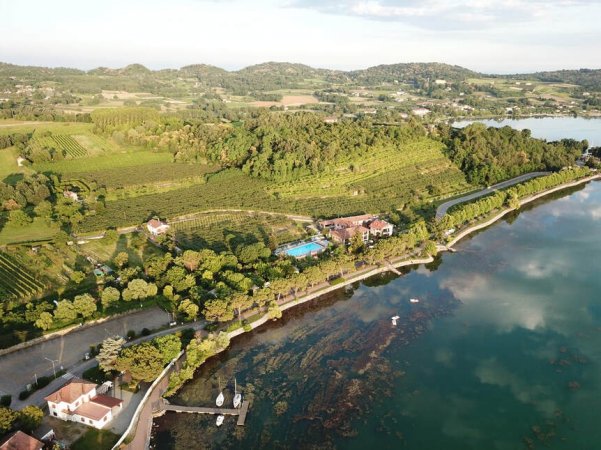 Vista aerea di una collina con vigneti e lago.