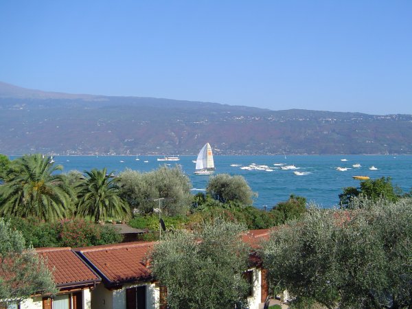 Barche a vela e alberi vicino al lago.