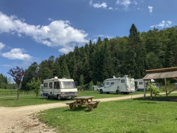 Camper parcheggiati in un campo verde vicino a una foresta.
