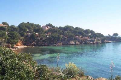 Una baia con acqua limpida e vegetazione costiera. Colline alberate in lontananza.