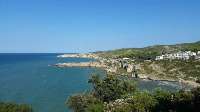 Costa rocciosa con mare blu e vegetazione.