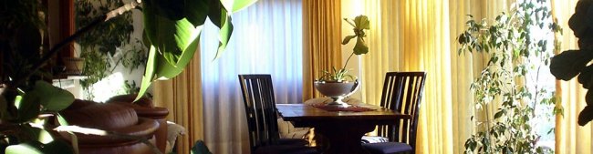 Sala pranzo con piante e tavolo in legno.