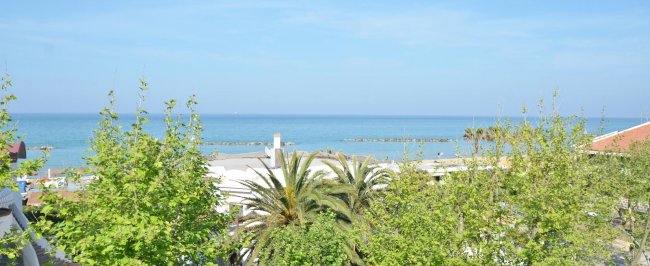 Vista mare con alberi e palme in primo piano.