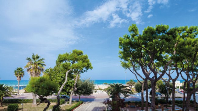 Strada alberata che conduce al mare.