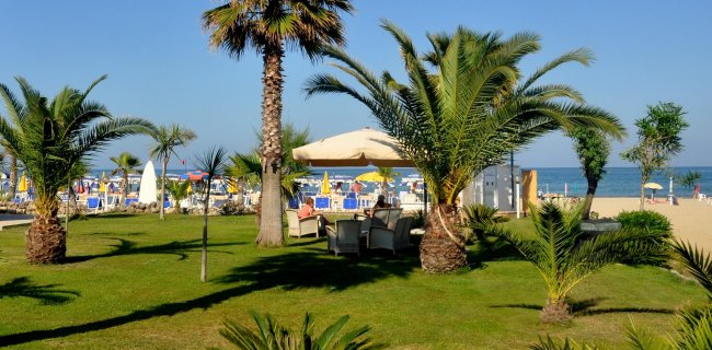 Giardino con palme vicino alla spiaggia.