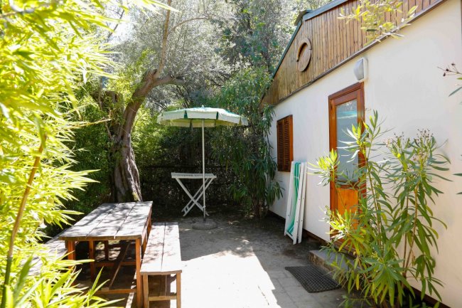 Cortile con panca, ombrellone e piante.