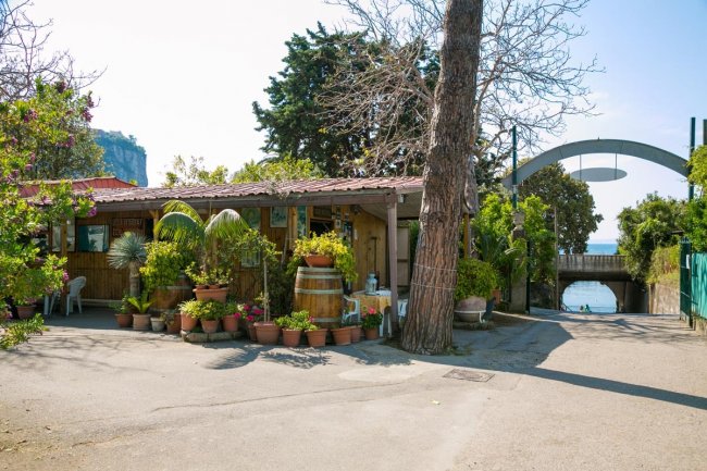 Edificio con piante in vasi, vista sul mare.