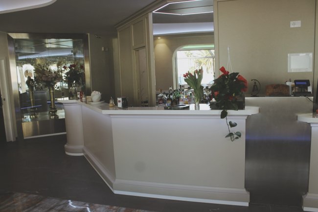 Reception moderna con piante decorative.