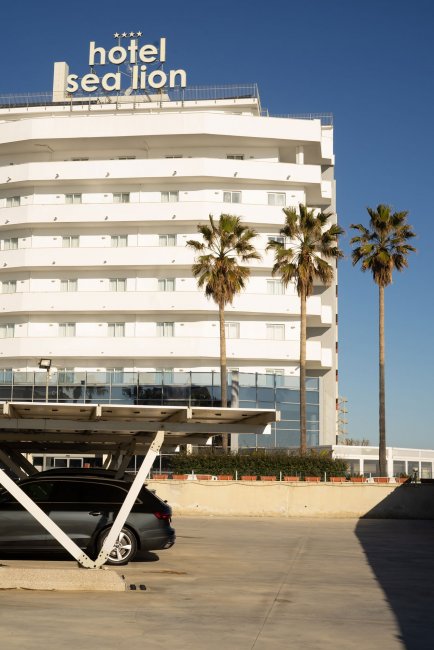 Facciata di un hotel con palme e parcheggio.