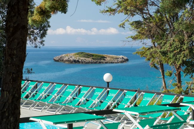 Lettini verdi davanti al mare e un'isola.