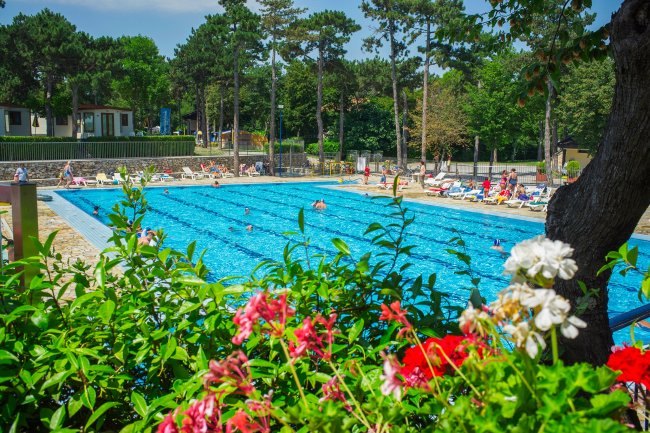 Piscina all'aperto con fiori colorati in primo piano.