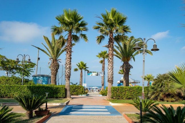 Viale fiancheggiato da palme verso il mare.