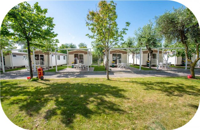 Bungalow allineati in un campeggio alberato.