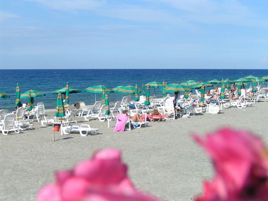 Spiaggia affollata con lettini bianchi e ombrelloni verdi.