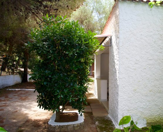 Piccolo edificio bianco con albero vicino.