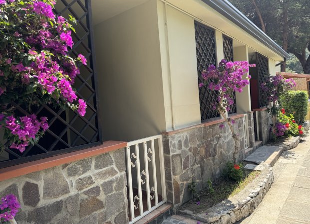 Facciata di una casa con muri in pietra, griglie nere e piante con fiori viola accanto al sentiero.