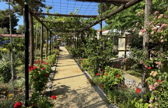 Un sentiero coperto da pergolato con viti e fiori, affiancato da cespugli colorati.