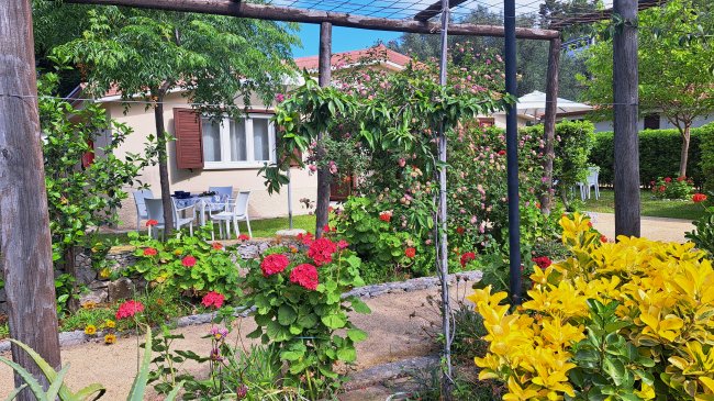 Giardino fiorito con piante colorate e pergolato di legno vicino a una casa con finestre marroni.