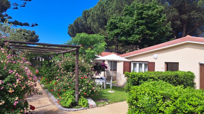 Percorso in giardino con pergolato fiorito vicino a case con tetto rosso e persiane marroni.