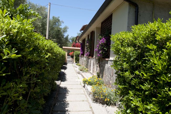 Sentiero con siepi verdi conduce a una casa con fiori colorati alle finestre.