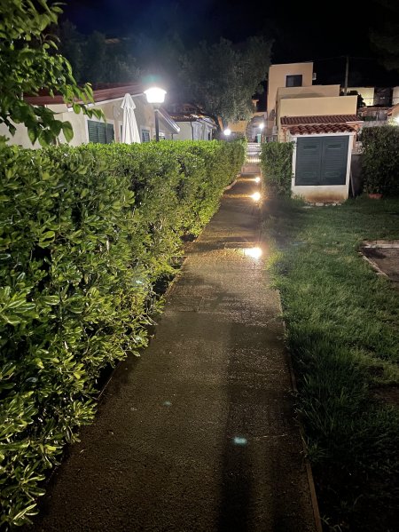 Sentiero notturno illuminato, fiancheggiato da cespugli e case, con lampioni.